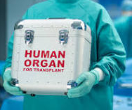 human-organ-transplants.jpg