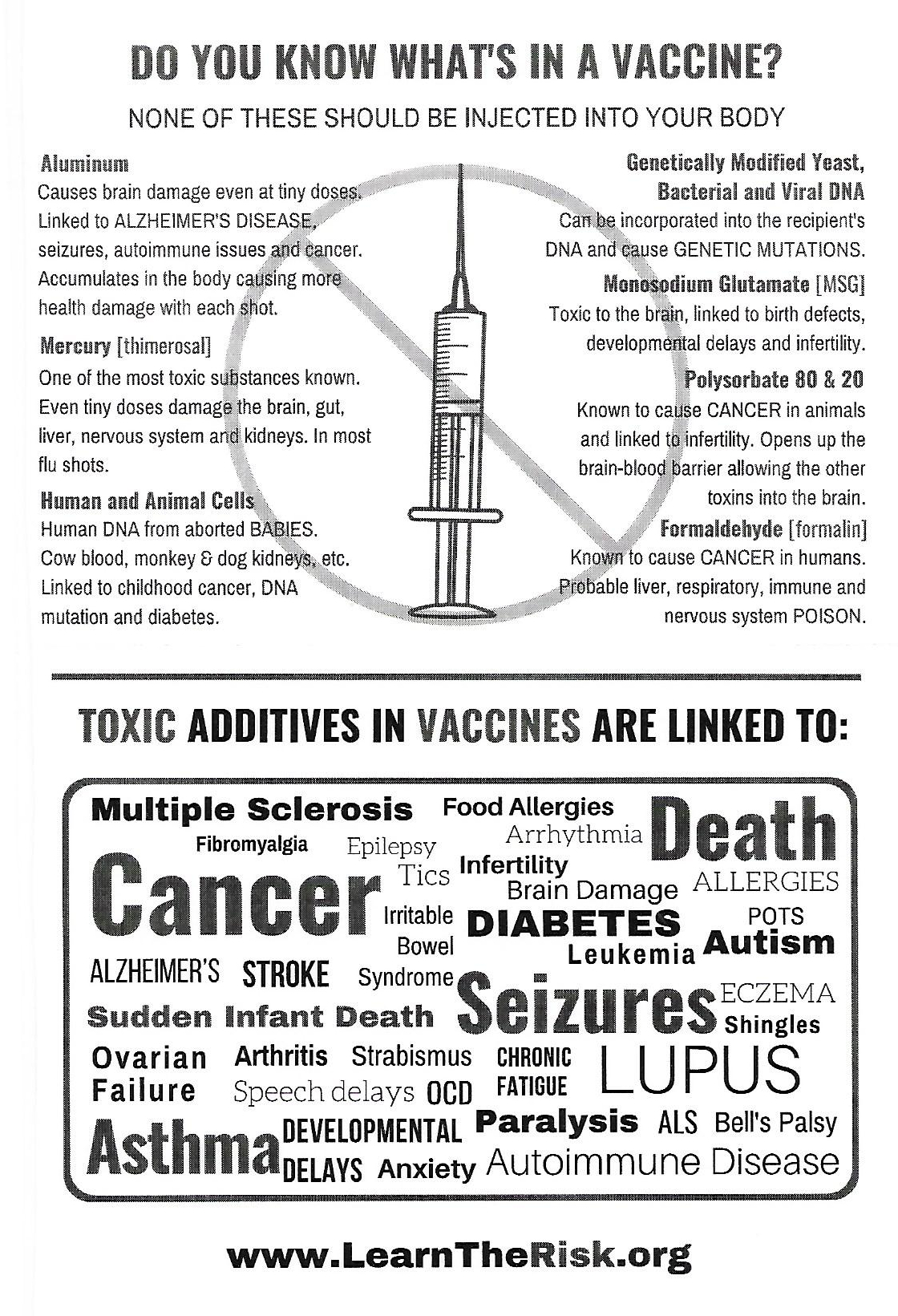 What's in a Vaccine 1